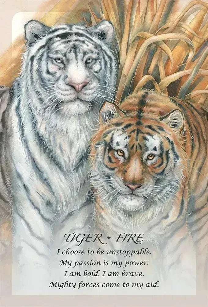 Spirit Of The Animals Oracle Deck