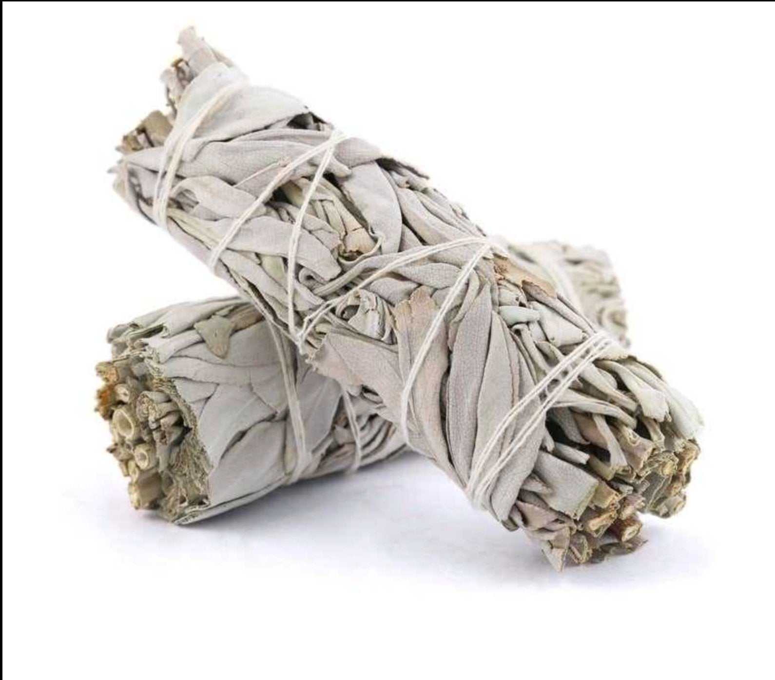 4" White Sage - Sacred Crystals Smudge Sticks