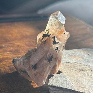 Natural Kundalini Citrine Shadow Cluster 🌑✨