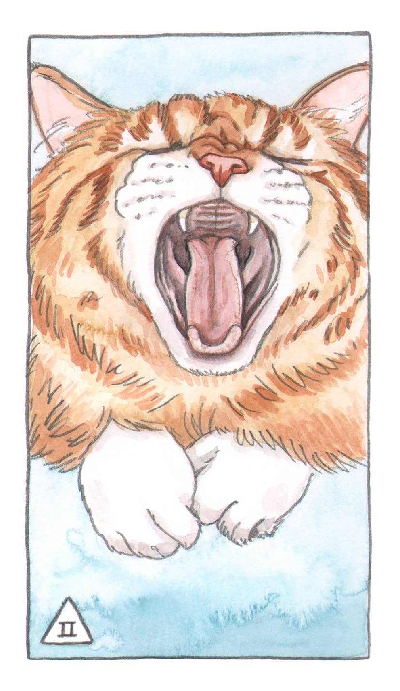 Cat Tarot illustrated by Lynn Kott
