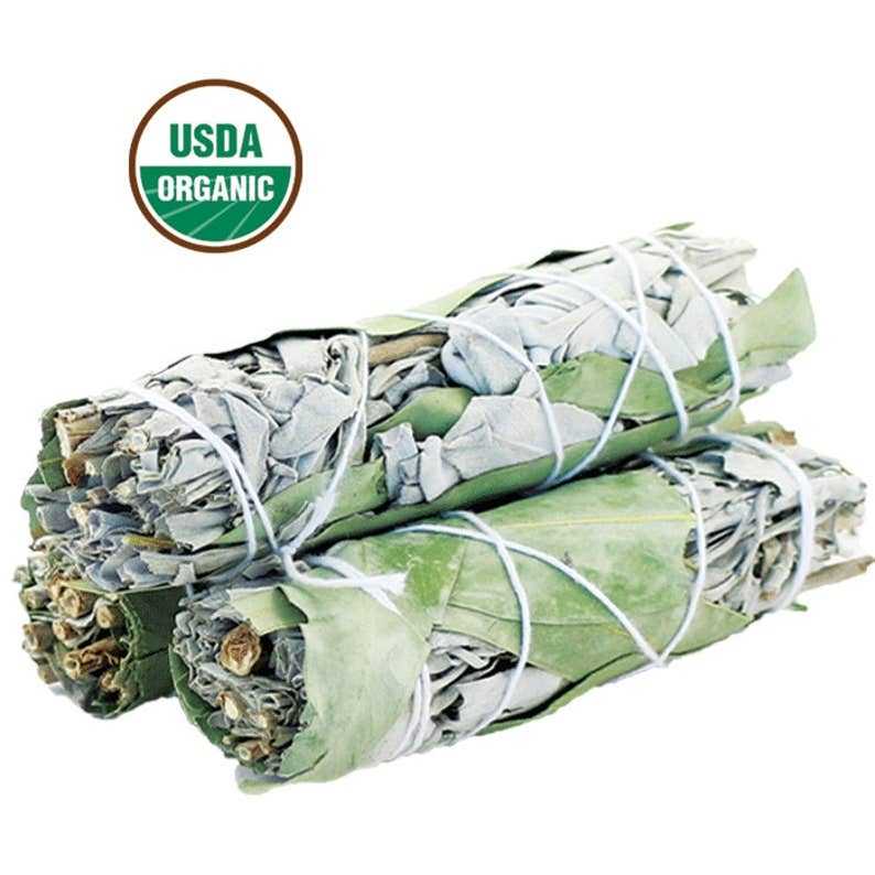USDA organic white sage and eucalyptus smudge stick bundles for cleansing and purification.