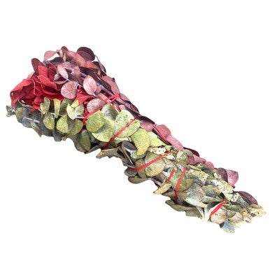 7" Red and Green Eucalyptus Smudge w/Red Sage - Sacred Crystals Smudge Sticks