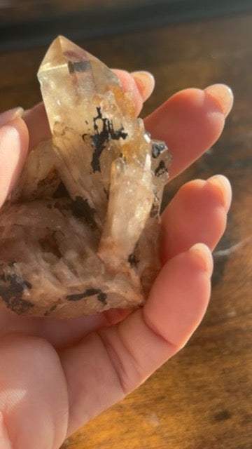 Natural Kundalini Citrine Shadow Cluster 🌑✨
