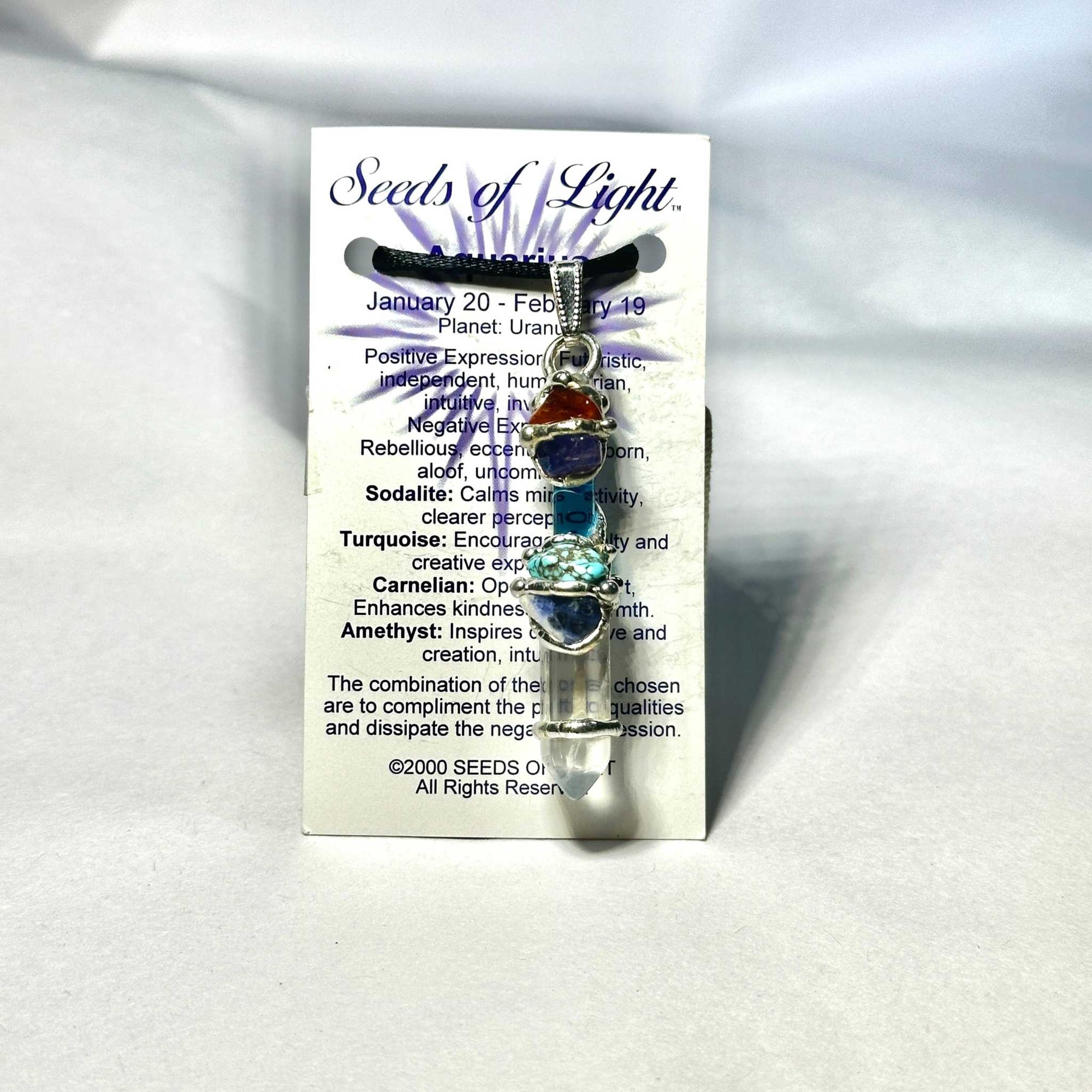 Aquarius Astrology Mini Wand Necklace