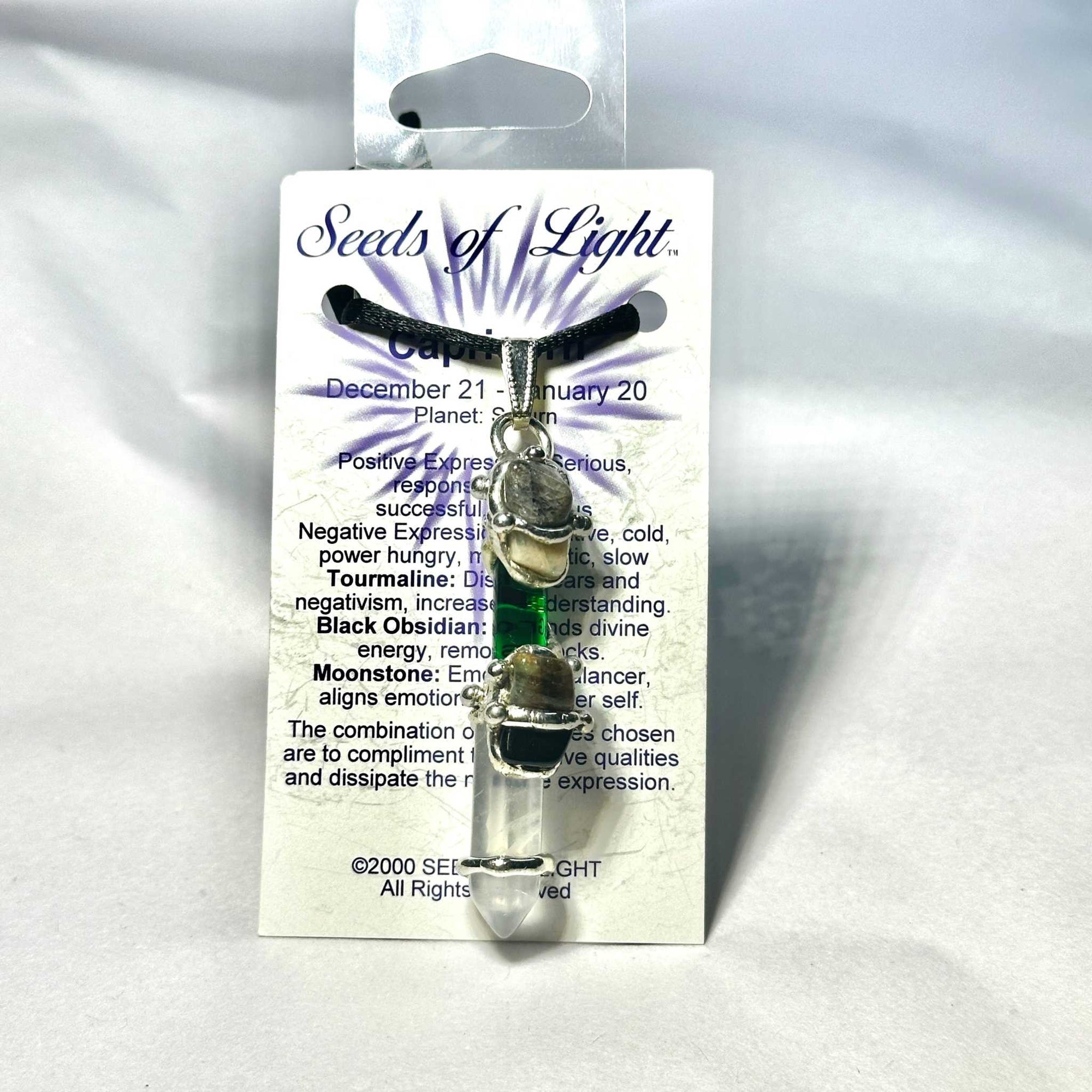 Capricorn Astrology Mini Wand Necklace