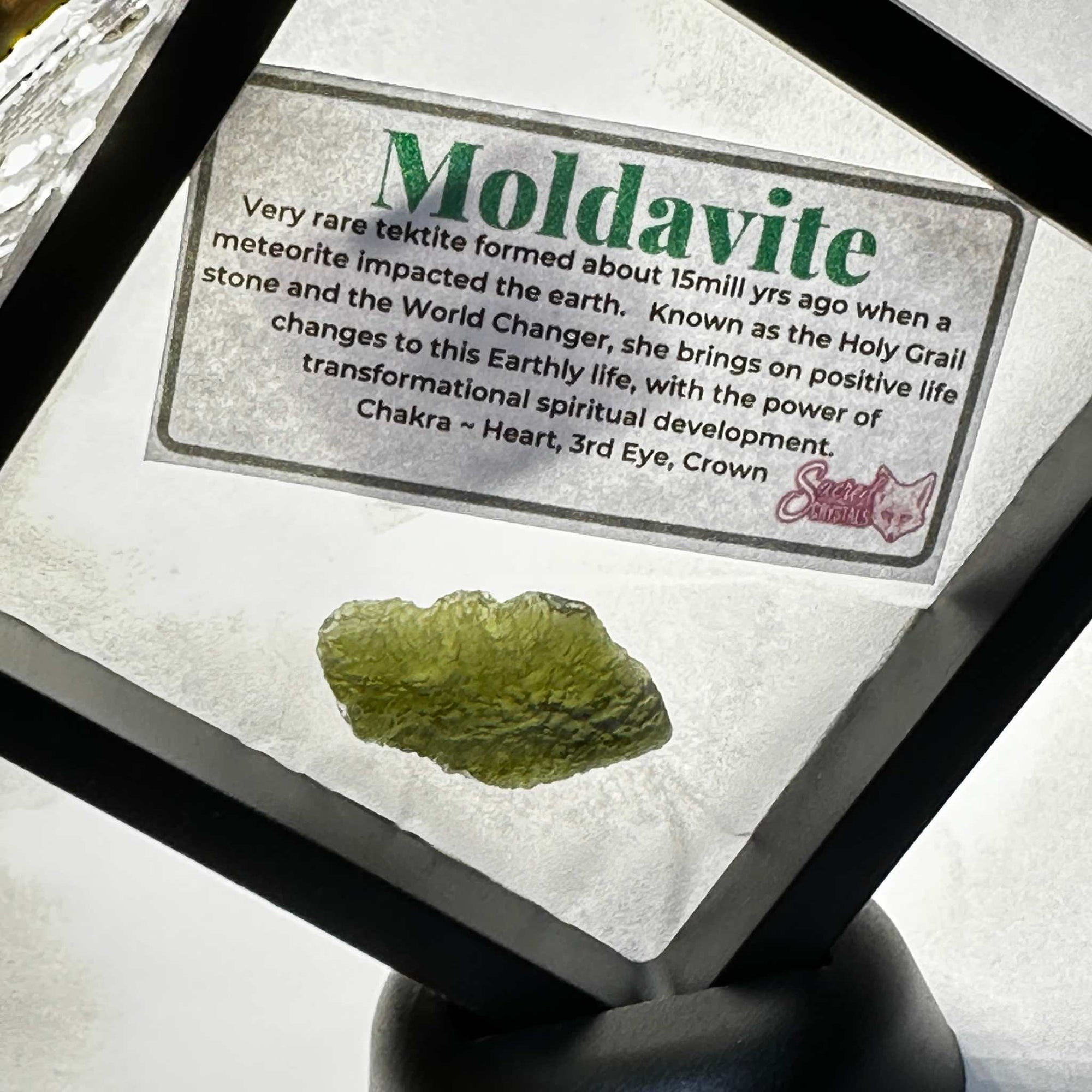 Moldavite 4.37 grams rare green tektite from Czech Republic in display case with informational card