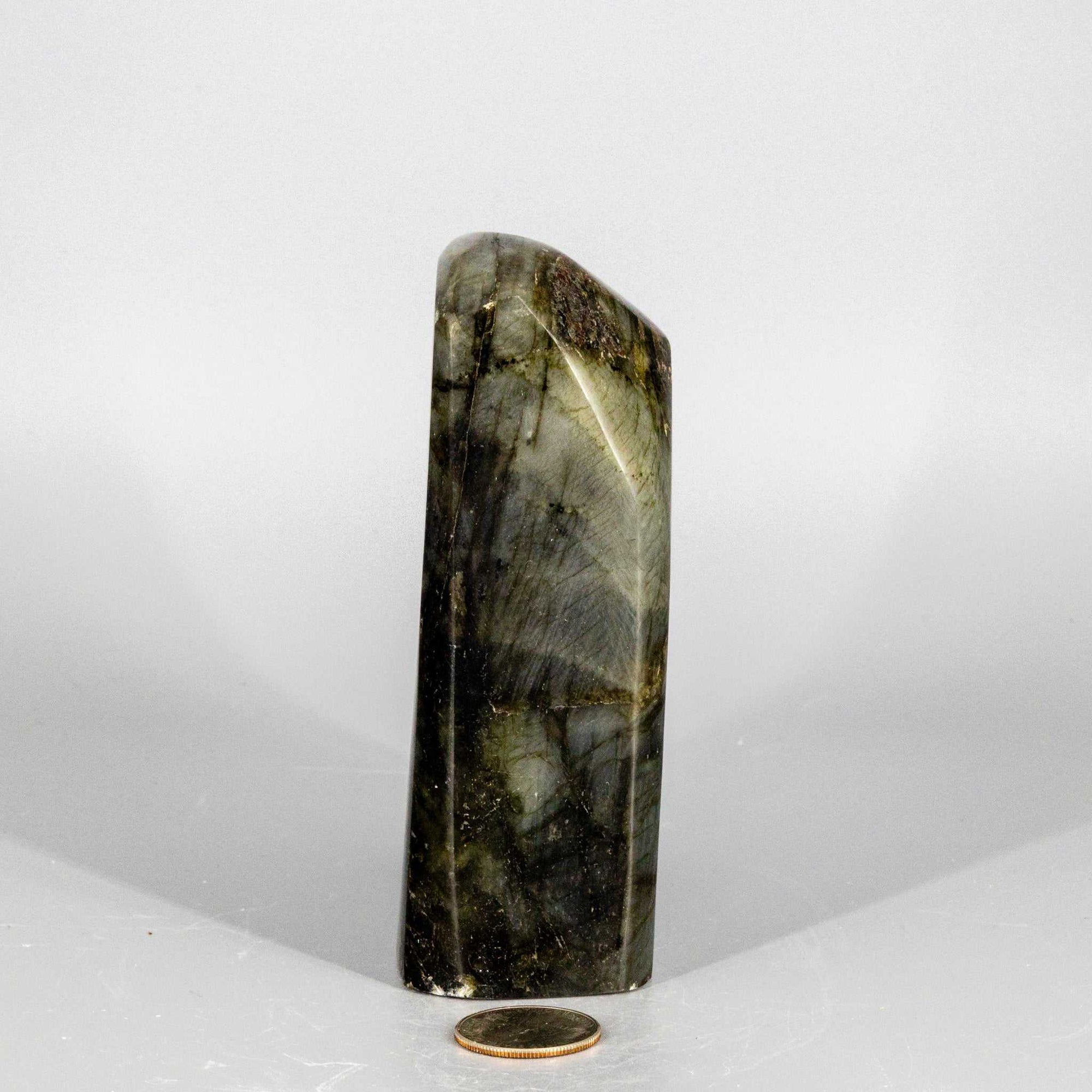 Labradorite "XL" Freestanding Freeform