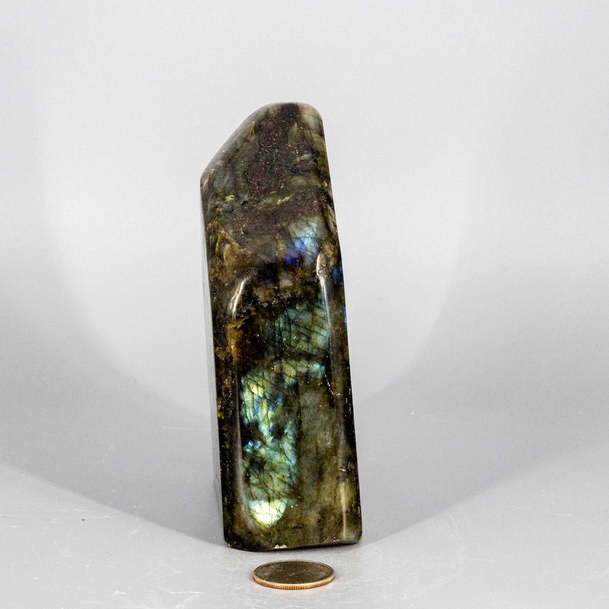 Labradorite "XL" Freestanding Freeform