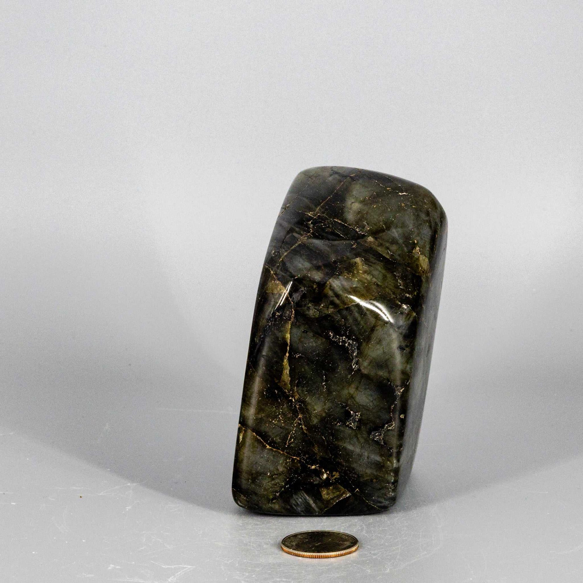 Labradorite "XL" High Flash Freeform