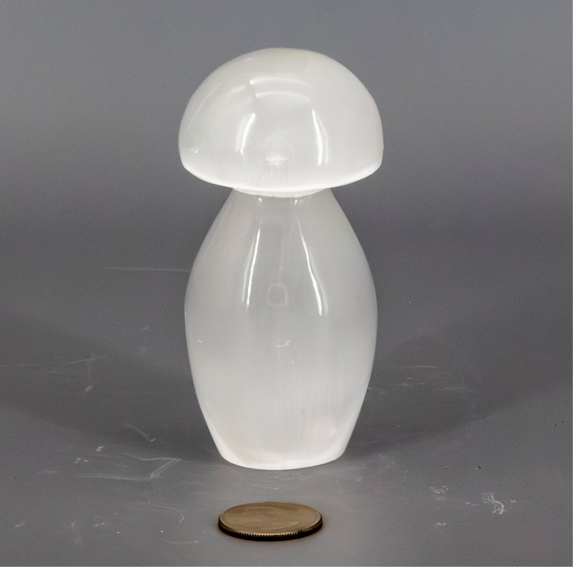 Selenite Carved Mushroom