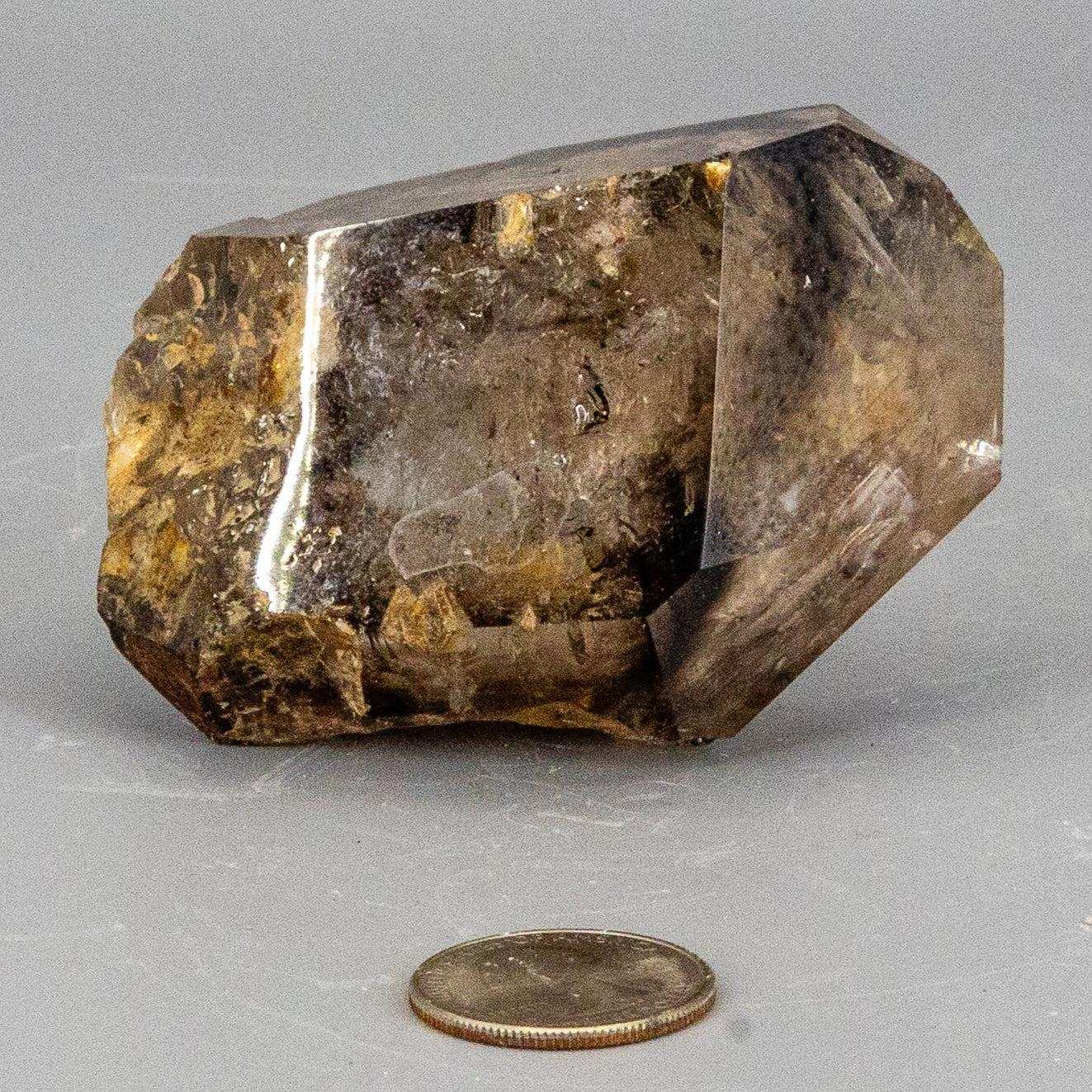 Skeletal Elestial Smoky Quartz Enhydro Point with Huge Bubble