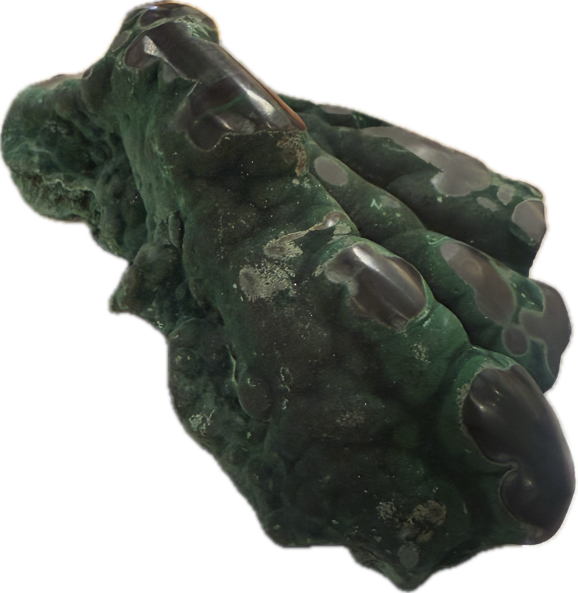 Malachite Claw Natural Rough Specimen 1lb 9oz