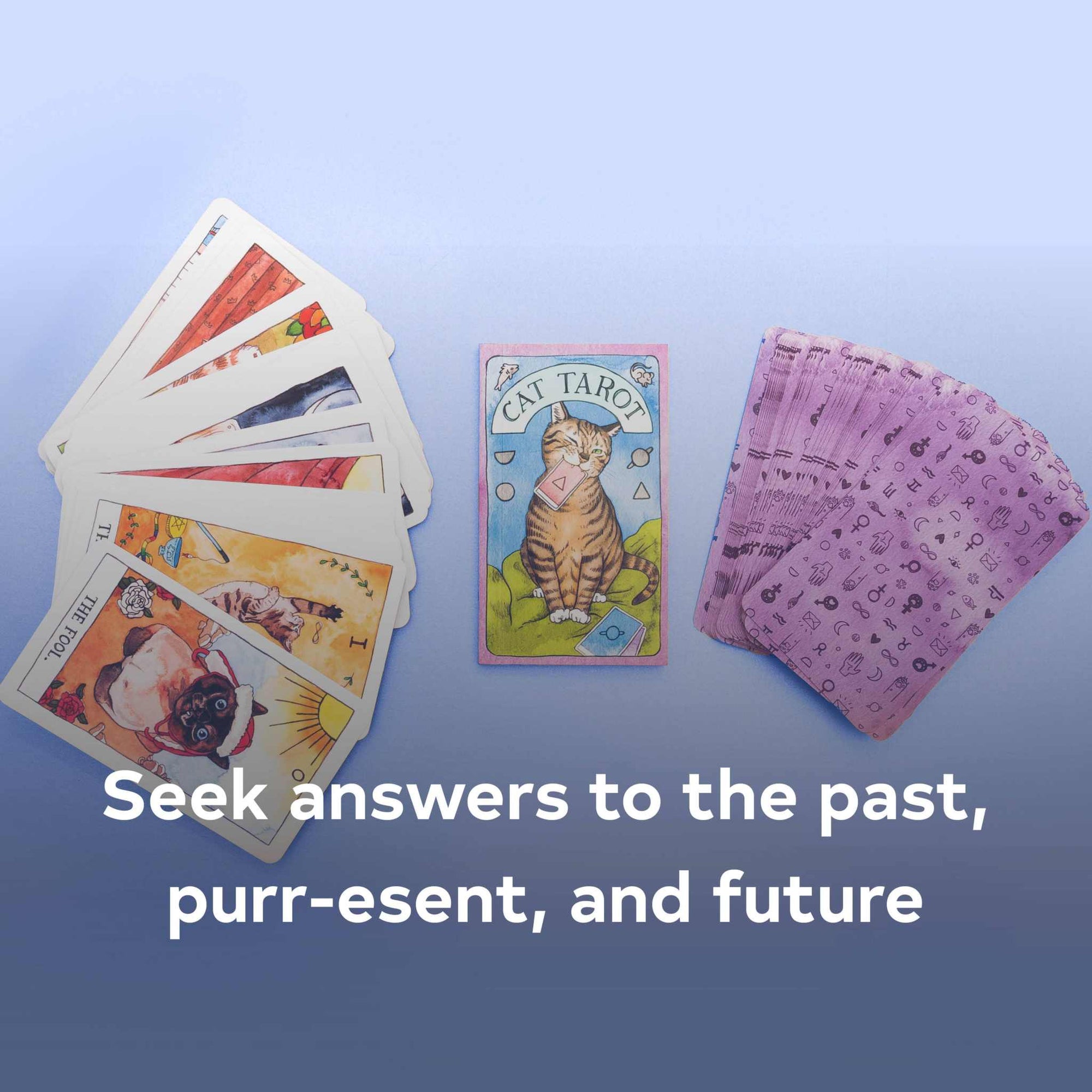 Cat Tarot illustrated by Lynn Kott