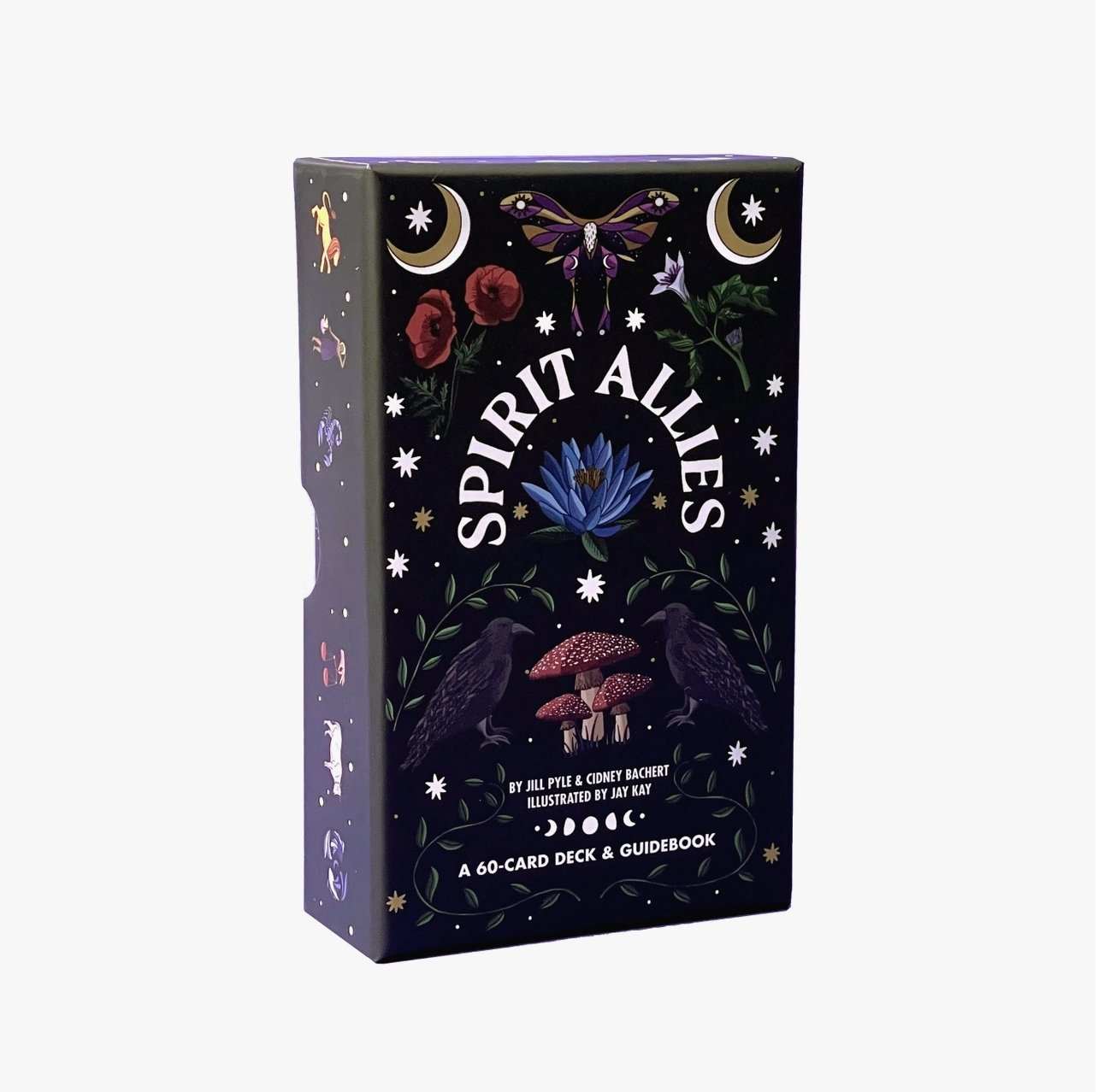 Spirit Allies Oracle Deck box featuring mystical illustrations of plants, animals, and celestial symbols.