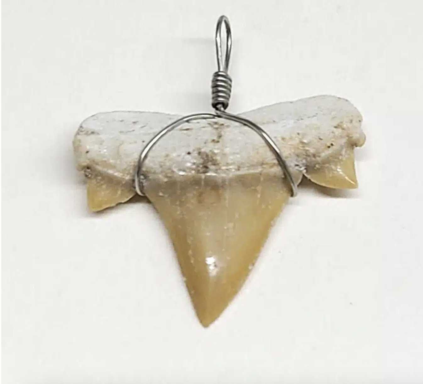 Shark Tooth Necklace - Sacred Crystals Jewelry