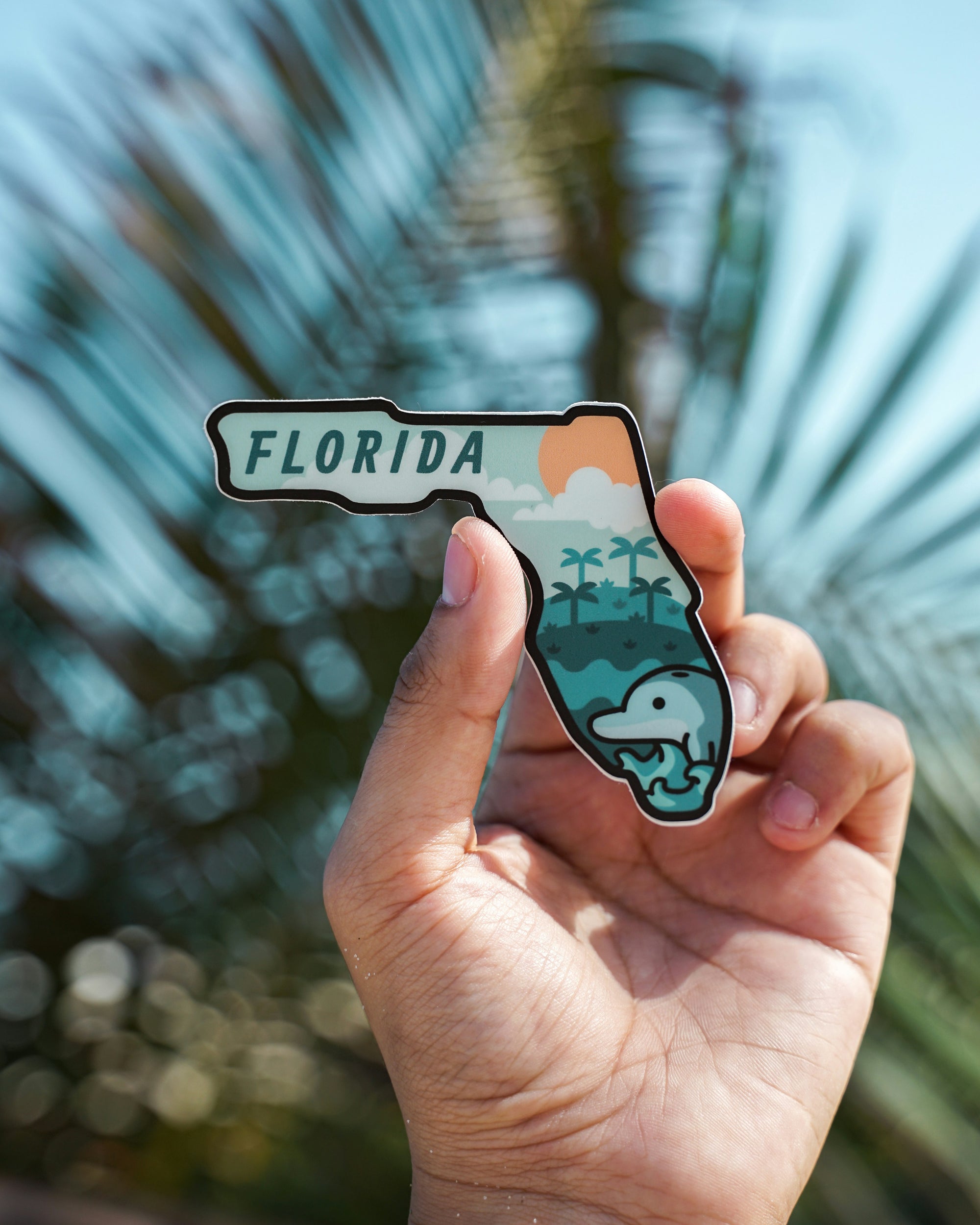 Crystals of Florida: Unearthing the Sunshine State’s Hidden Gems