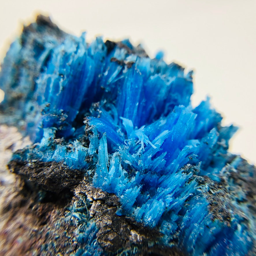 Collectible Crystals