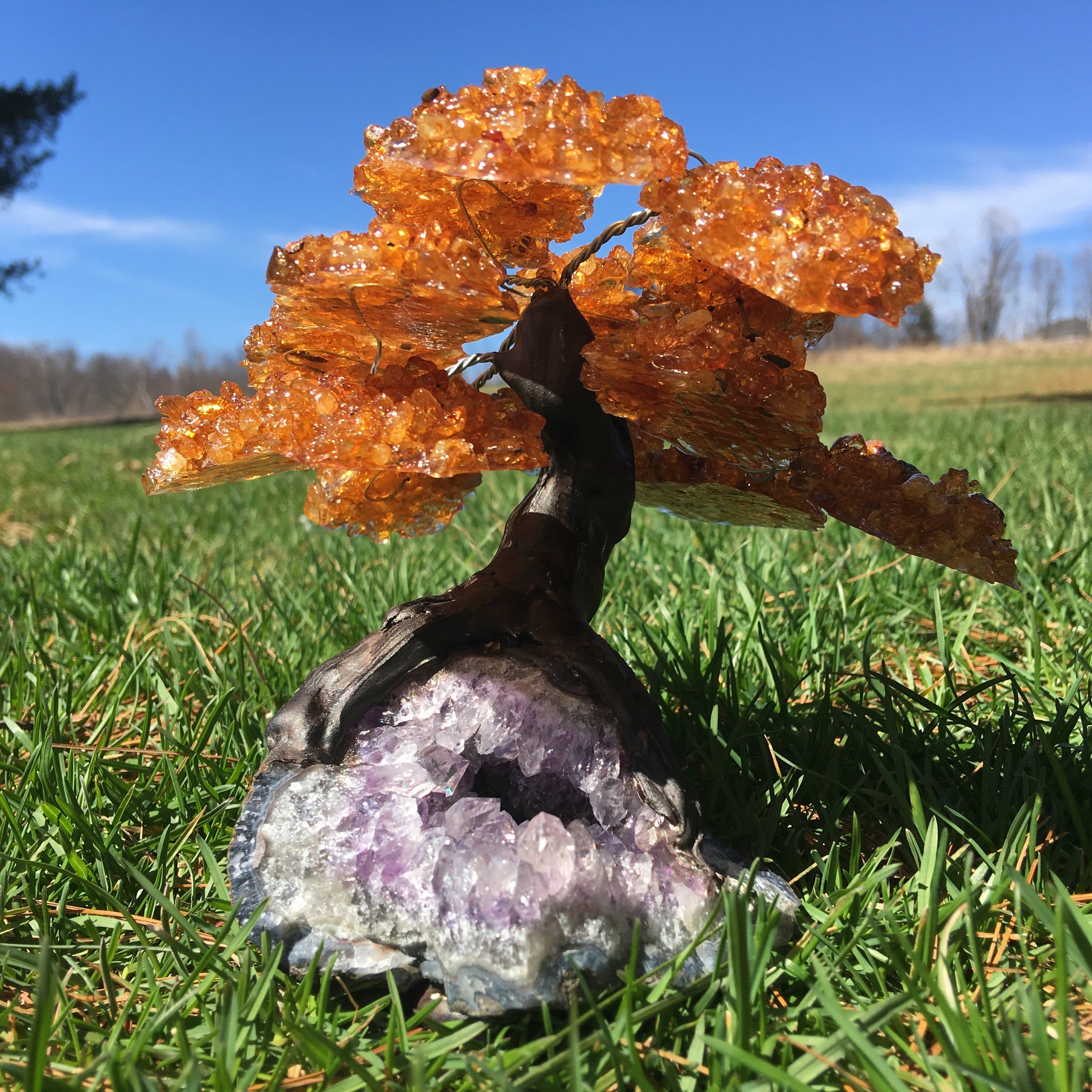 The Crystal Grove - Gem Tree Collection