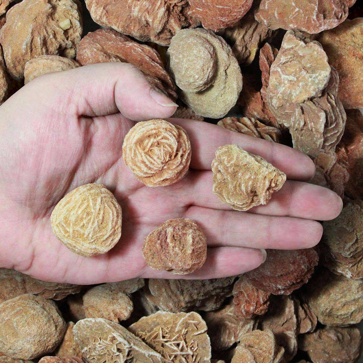 Rough Moroccan Desert Rose Specimen