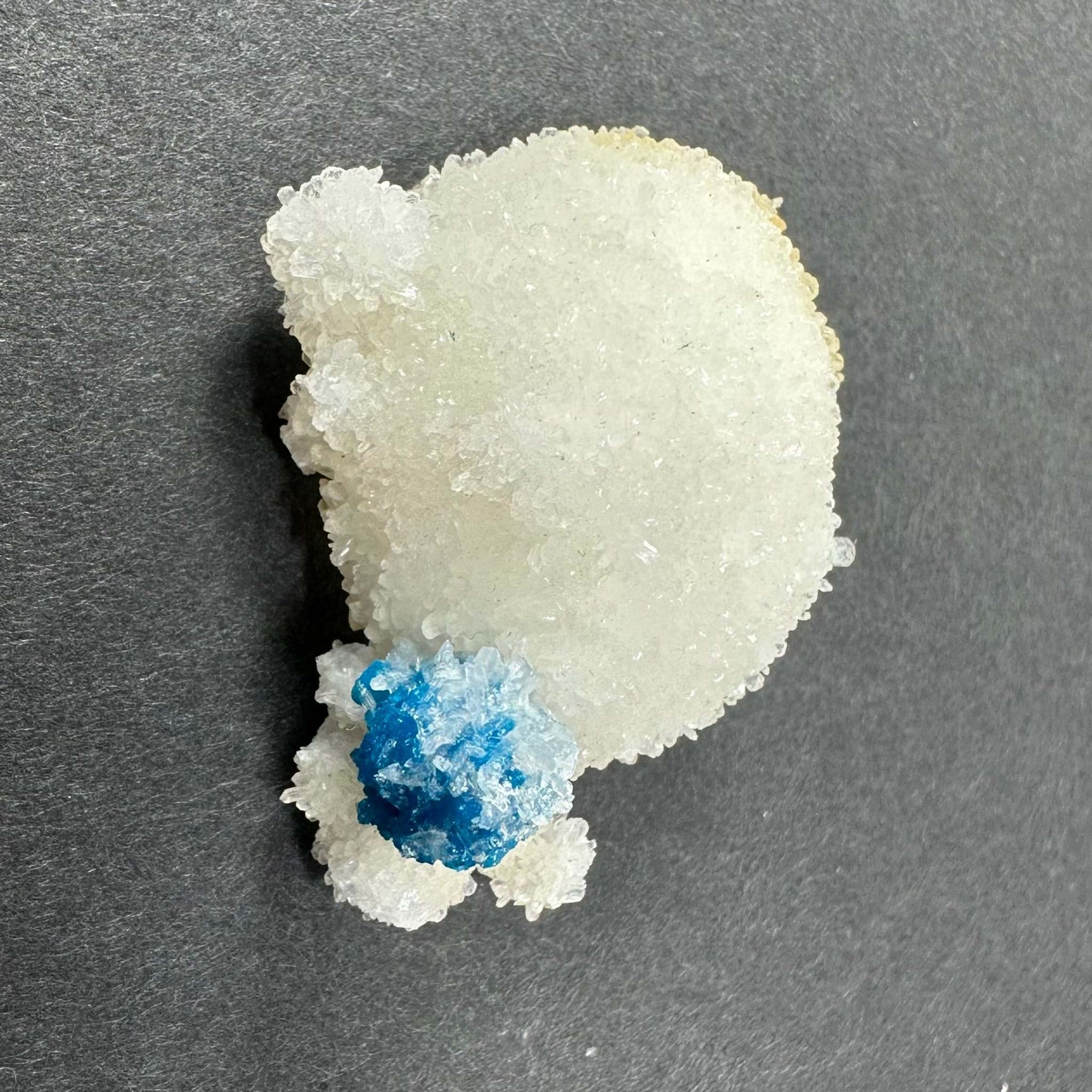 Cavansite Ball 'Floaters' on Stilbite SM from Maharashtra, Pune, India