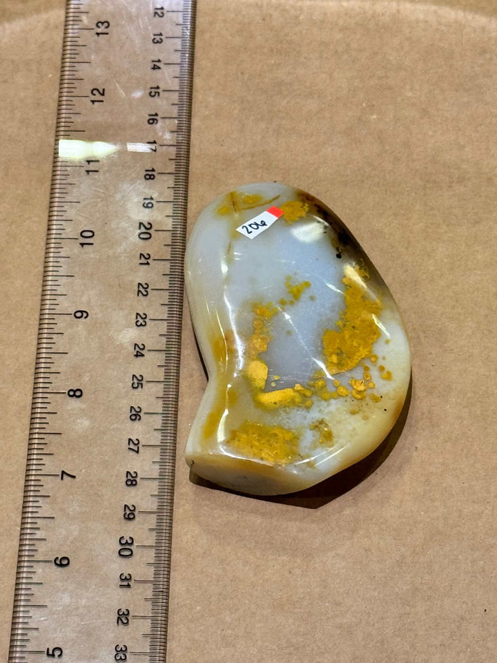 Seaweed Agate Freeform Palm Size Desk Piece