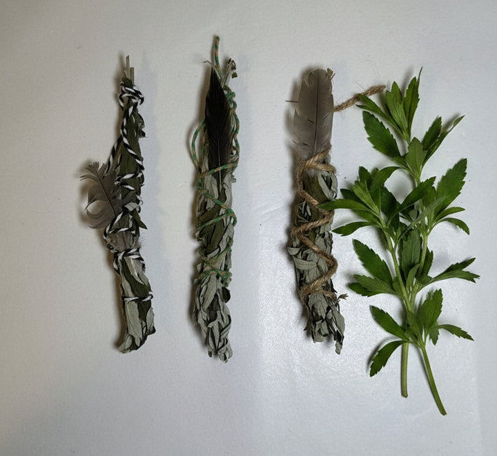 Solar Angel Moon Mugwort Smudge Bundle