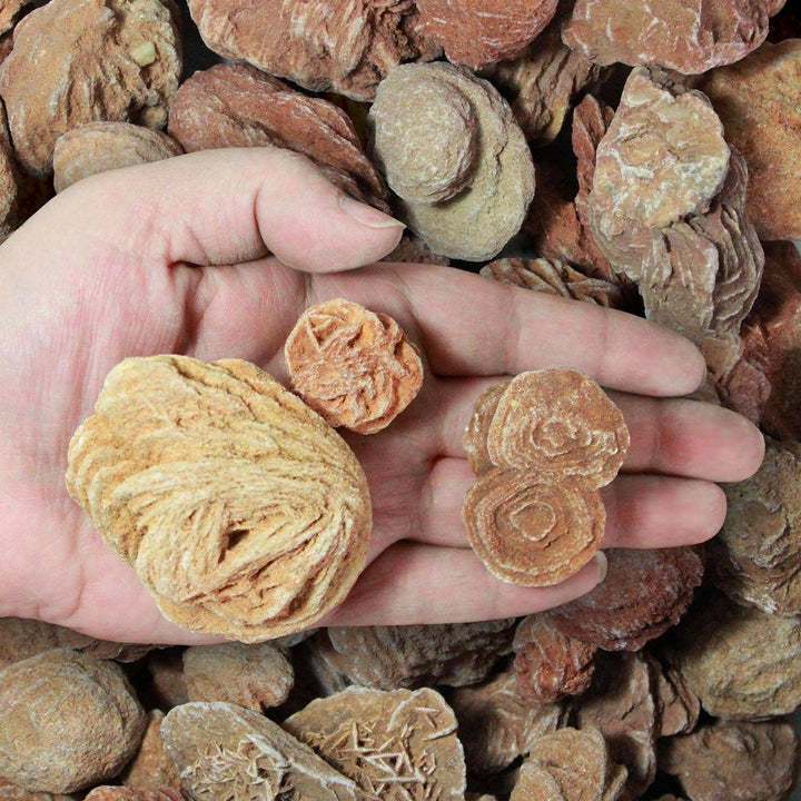 Rough Moroccan Desert Rose Specimen