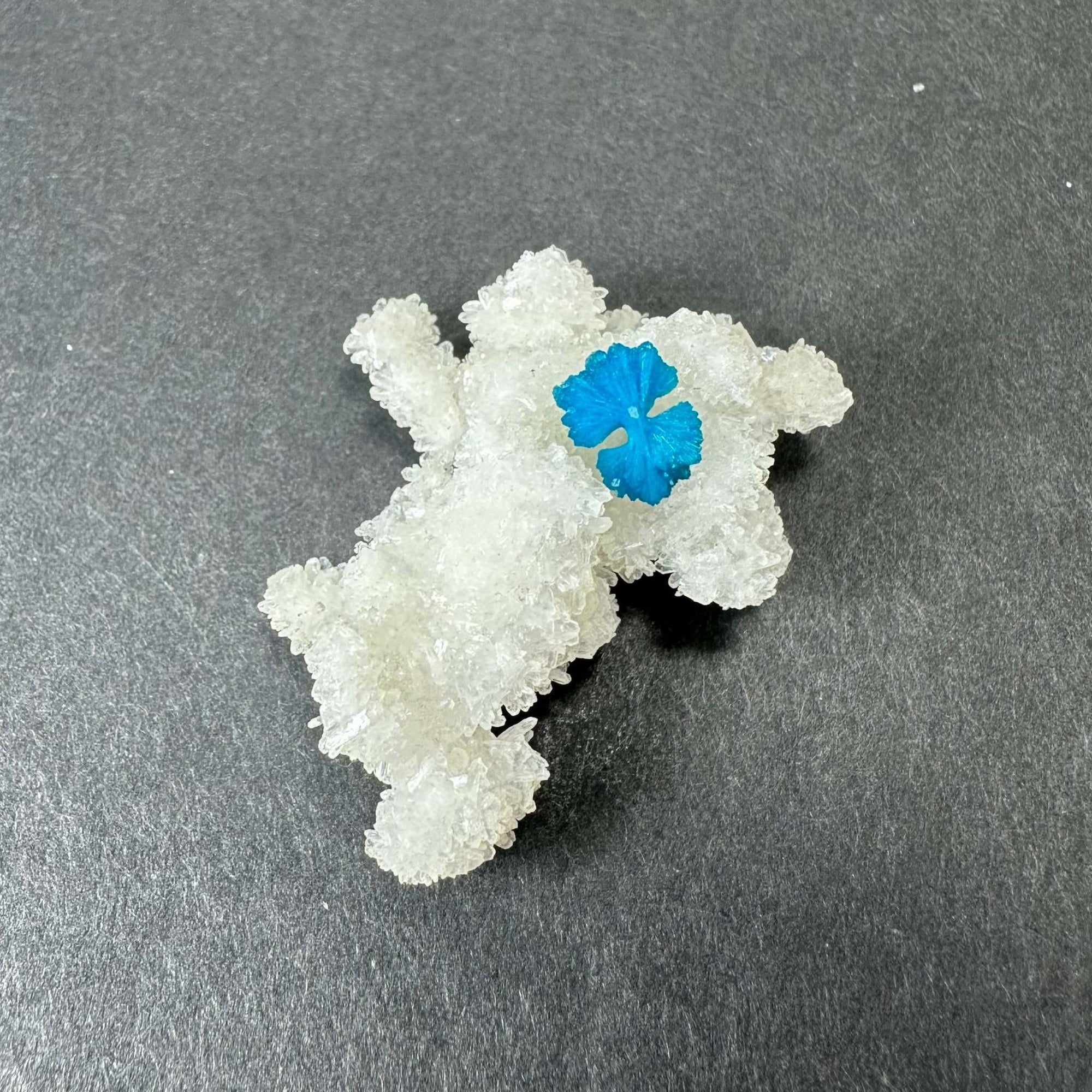Cavansite Ball 'Floaters' on Stilbite SM from Maharashtra, Pune, India