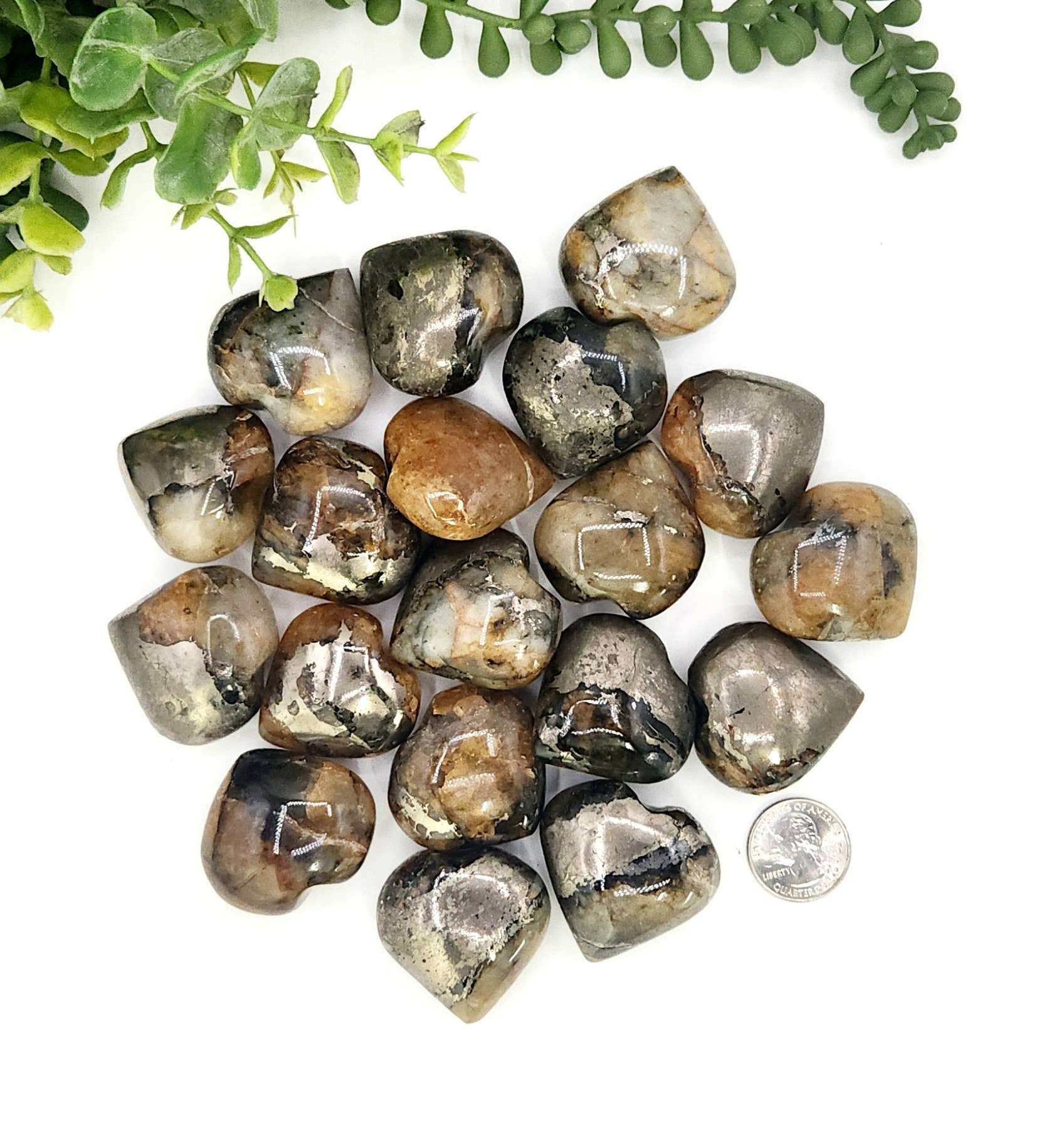 Golden Healer with Pyrite Hearts-0.5 kg/1.1lbs. (40mm)