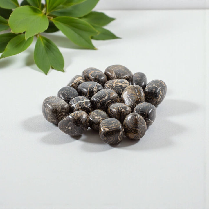 Stromatolite Tumbled Pocket Stone