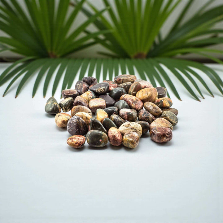 Cherry Creek Jasper Tumbled Pocket Stone
