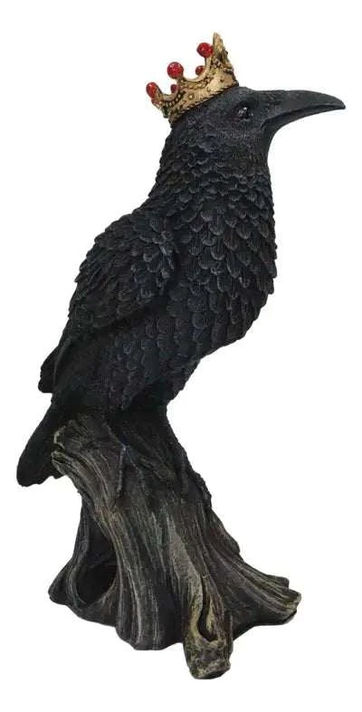 Crowned Raven