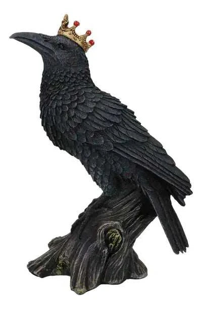 Crowned Raven