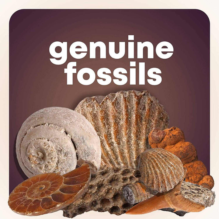 Mega Rock, Fossil &amp; Mineral Collection