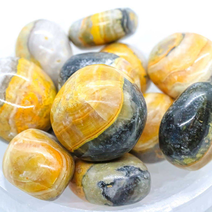 Bumble Bee Jasper Tumbled Pocket Stone
