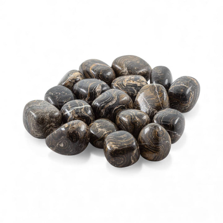 Stromatolite Tumbled Pocket Stone