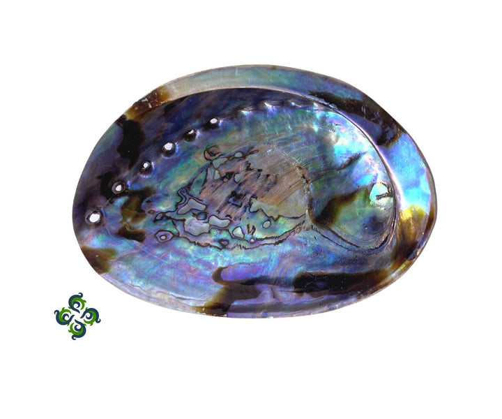 New Zealand Abalone Shells Incense Sage Burner