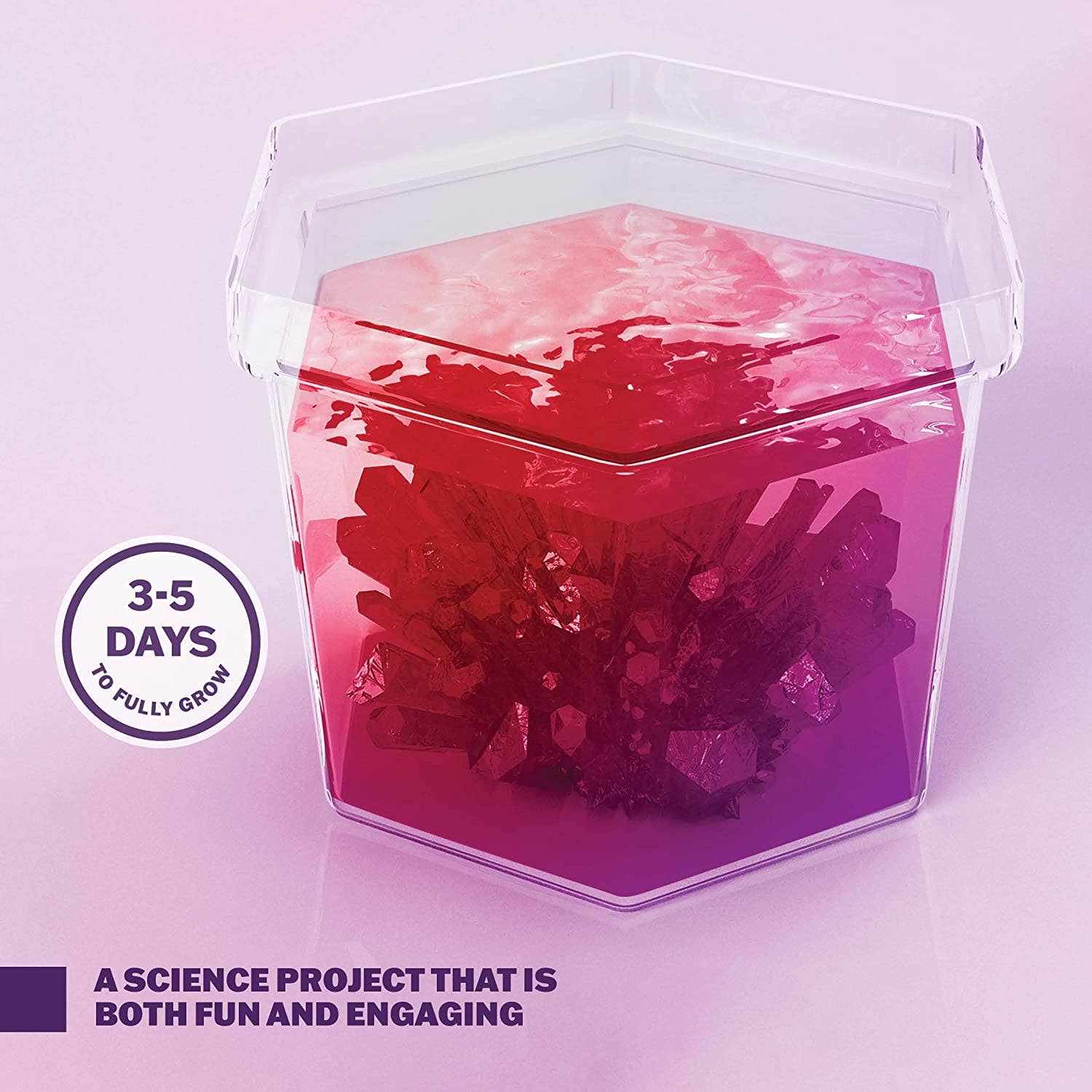 Grow Your Own Crystal Science Kit