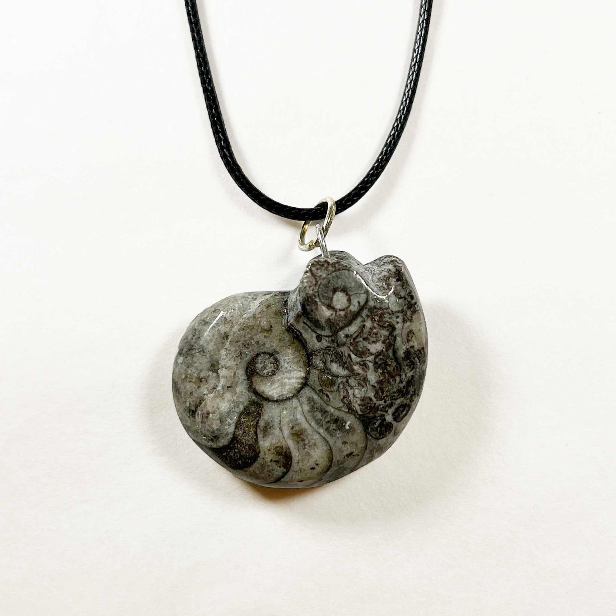 Ammonite/Goniatite Fossil Necklace, Pendants, Rocks & Fossils