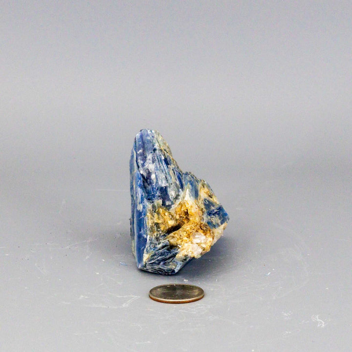 Beautiful Blue Kyanite Blades In Quartz Clusters