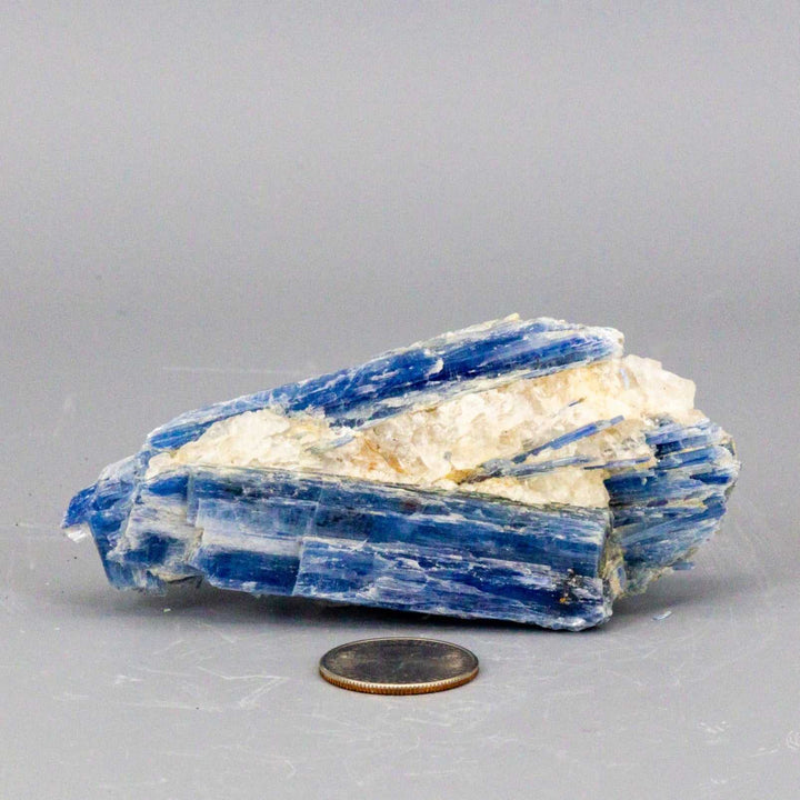 Beautiful Blue Kyanite Blades In Quartz Clusters