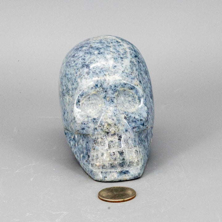 Crystal Skull - Angelite - (Anhydrite)