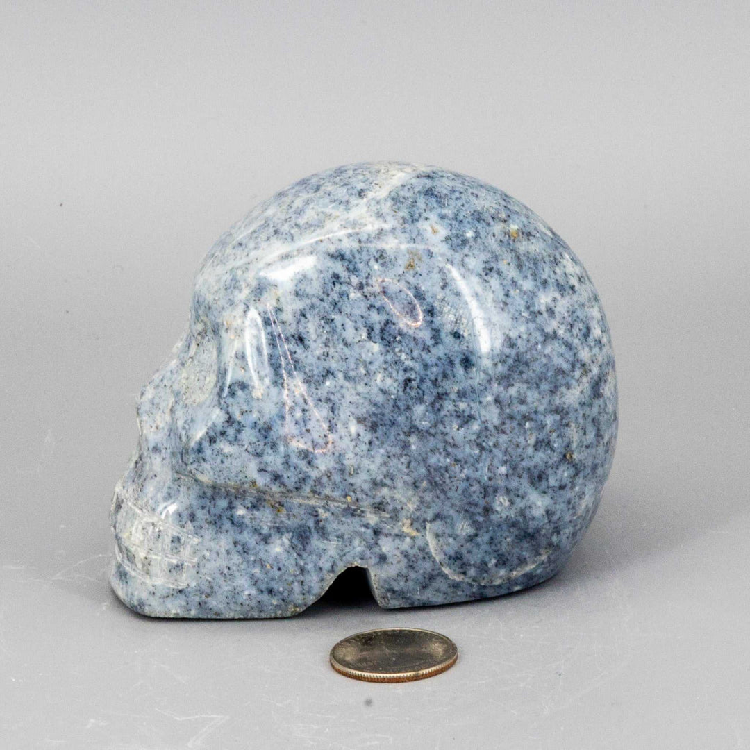Crystal Skull - Angelite - (Anhydrite)
