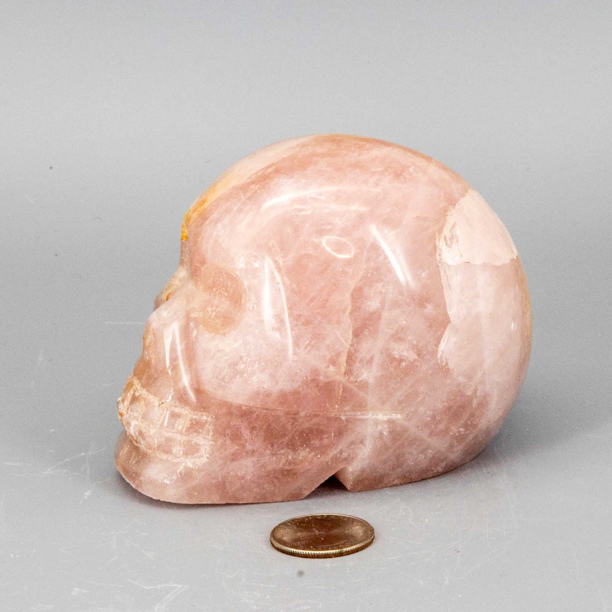 Crystal Skull - Agate - Rose Quartz - Anhydrite