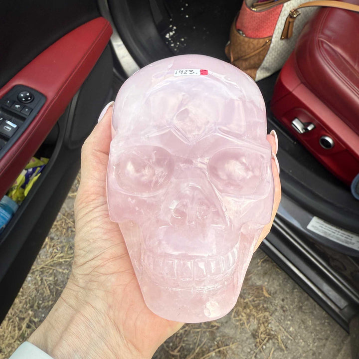 Rose Quartz Skull 💀
