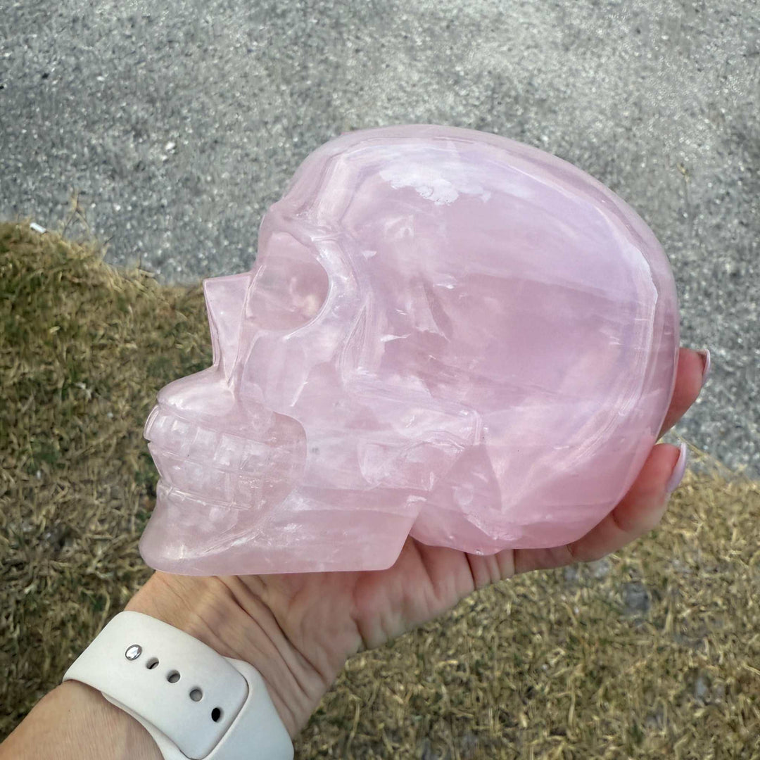 Rose Quartz Skull 💀