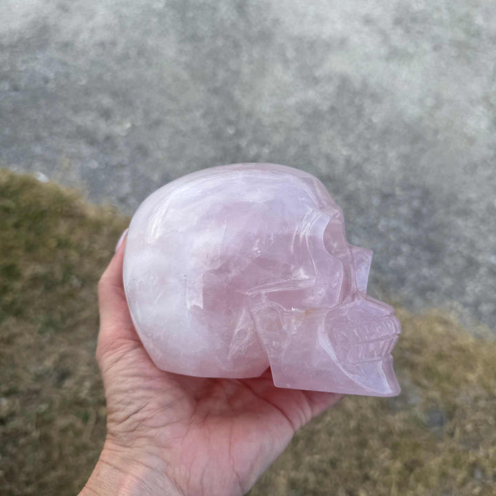 Rose Quartz Skull 💀