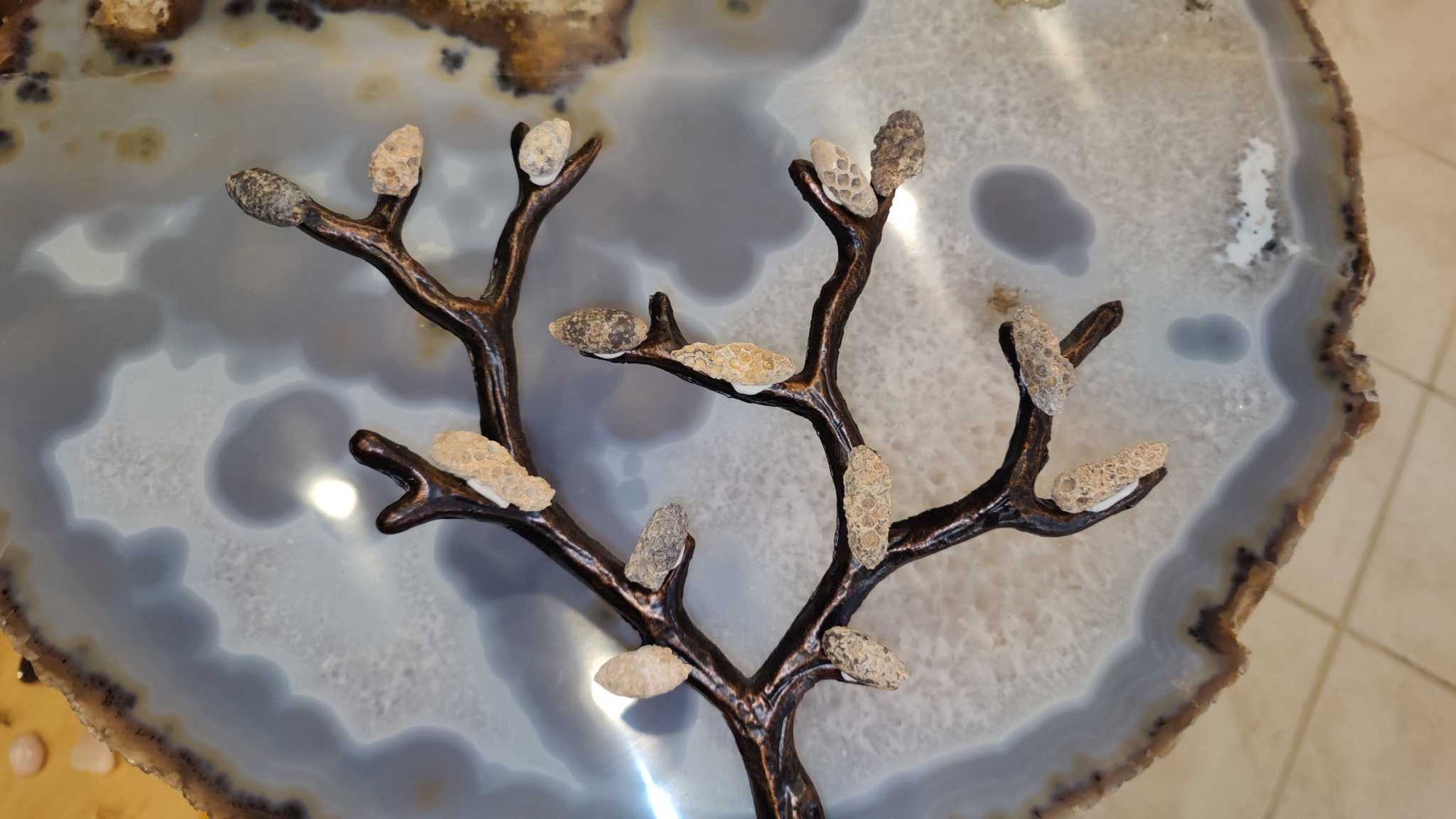 Fossilized Pine Cone 2&quot;