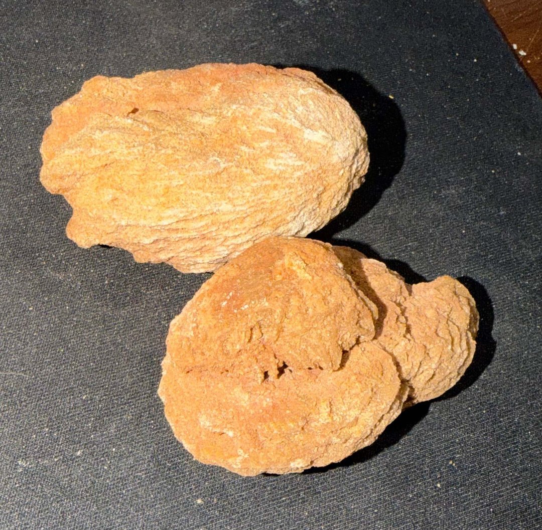 Rough Moroccan Desert Rose Specimen