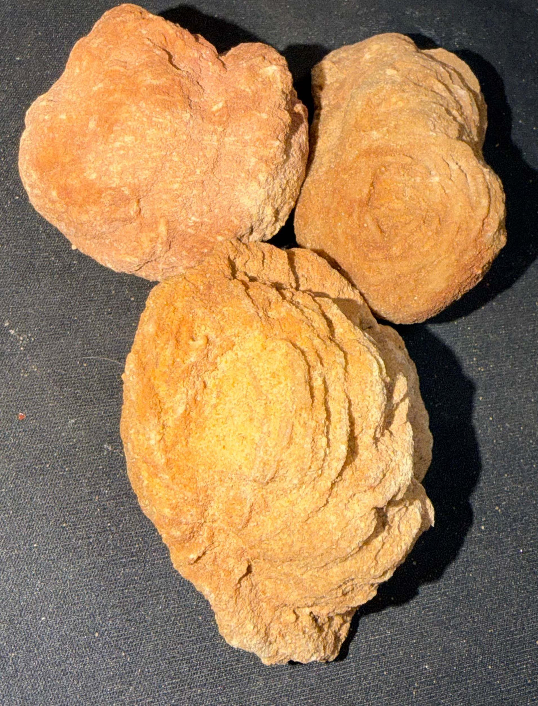 Rough Moroccan Desert Rose Specimen